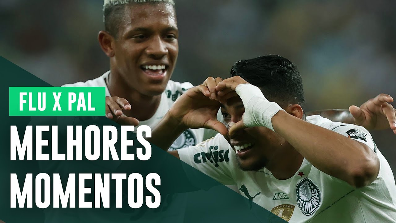 Palmeiras hendecacampeão: relembre todos os jogos e gols da campanha do  título brasileiro