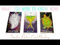 What you need to know Now❗️ channeled message 🔮#pickacardtarotreading