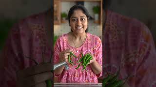 Kitchen Hack | Hari Mirchi Ko Fresh Kaise Rakhein | Green Chilli Storage Tips #shorts #kitchenhacks