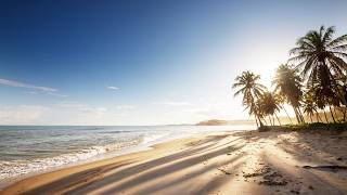 Summer Jazz Ocean Breeze: Chill Bossa Nova Melodies for Upbeat Beach Moments