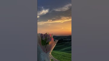 قران كريم راحه نفسيه ❤️‍🩹🎧