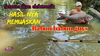 setrum ikan elektrik mantap buat ikan nila langsung tumbang