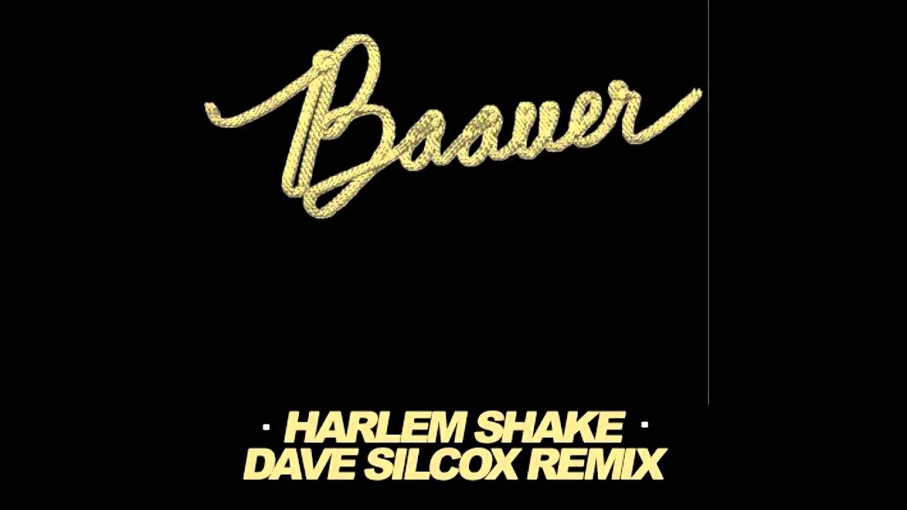 baauer harlem shake
