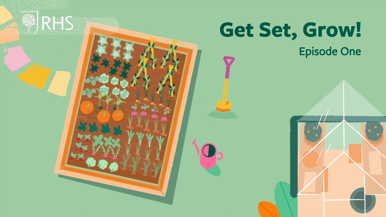 Strawberries and chitting potatoes - Early March | Get Set, Grow! | Royal Horticultural Society