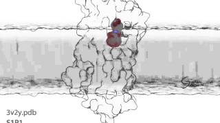 GPCR active site variations made with Ray Stevens lab