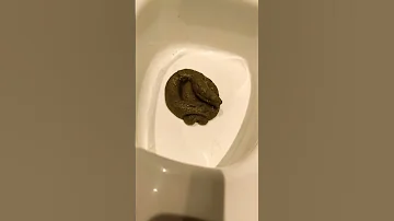 Spiderman Cleans The Toilet After Spiderduck Giveityourbestshort 
