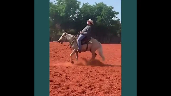 DEWS IMPOSSIBLE LENA long video