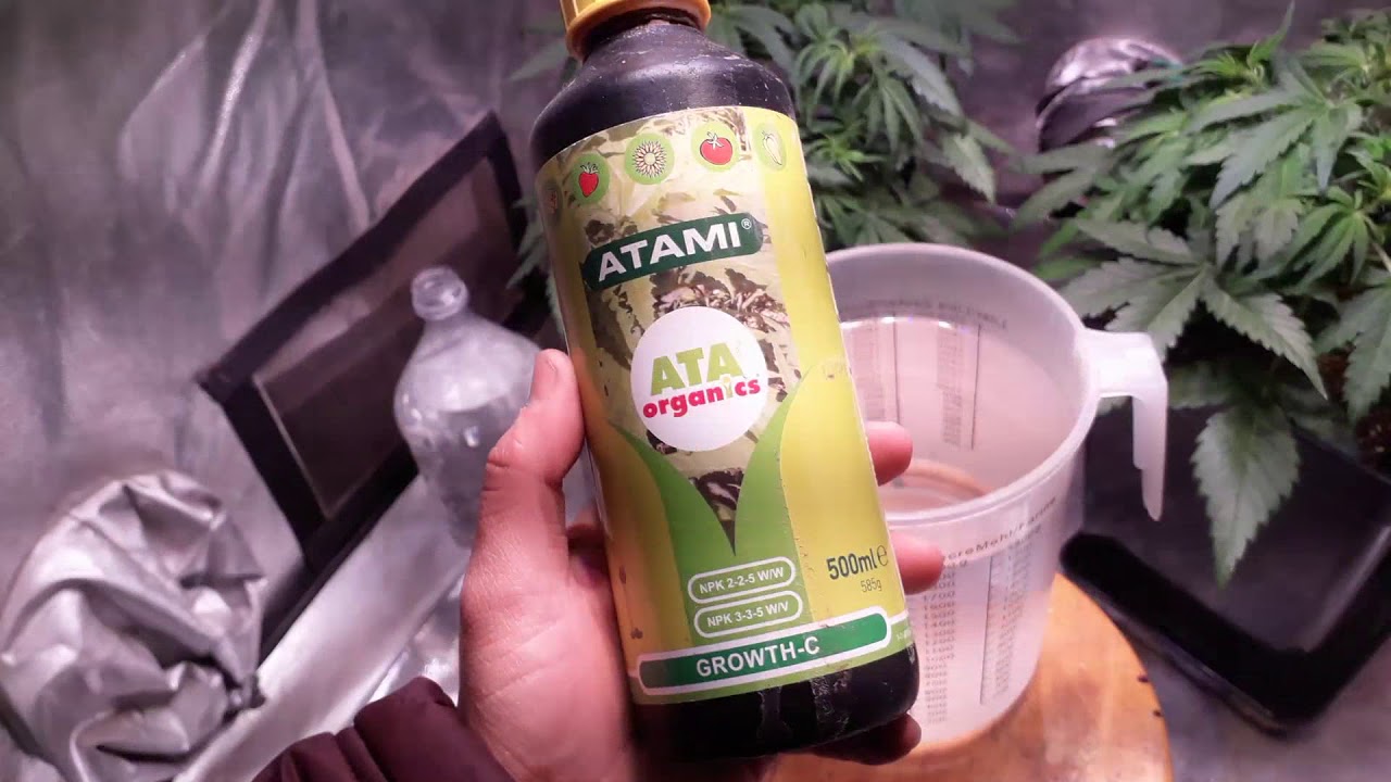  4 Seguimiento Jack 47 XL/ LED Apollo Evolution 9 YouTube