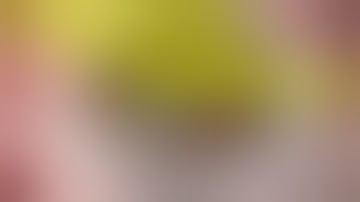 COMMENTED SURGERIES #11 - Persistent Pupillary Membrane