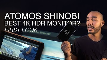 ATOMOS SHINOBI | The best 4K 5-inch HDR monitor for video? First Look
