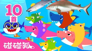 鯊魚寶寶舞曲合集 +更多 經典人氣兒歌🦈 Baby Shark Dance Doo Doo 鯊魚一家 | 連續播放 兒歌 兒童歌曲 童謠 | 碰碰狐 Pinkfong!