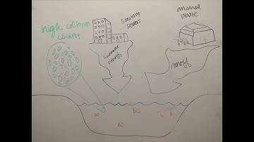 Fecal coliform w music