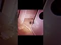 足音の先に不審者