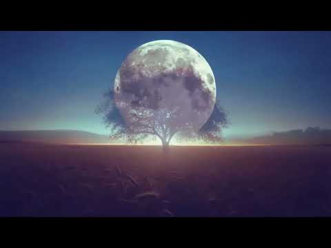 Lunar roots (coming soon)