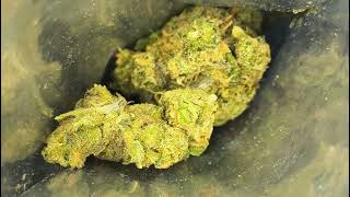Blue Dream 