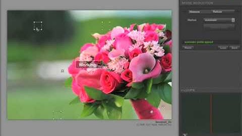 Nik Software original training -- Dfine Multiple Image Editing