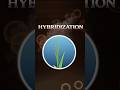 Artificial Hybridization #medicaleducation #educationalvideo