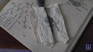 Science Imitates Nature