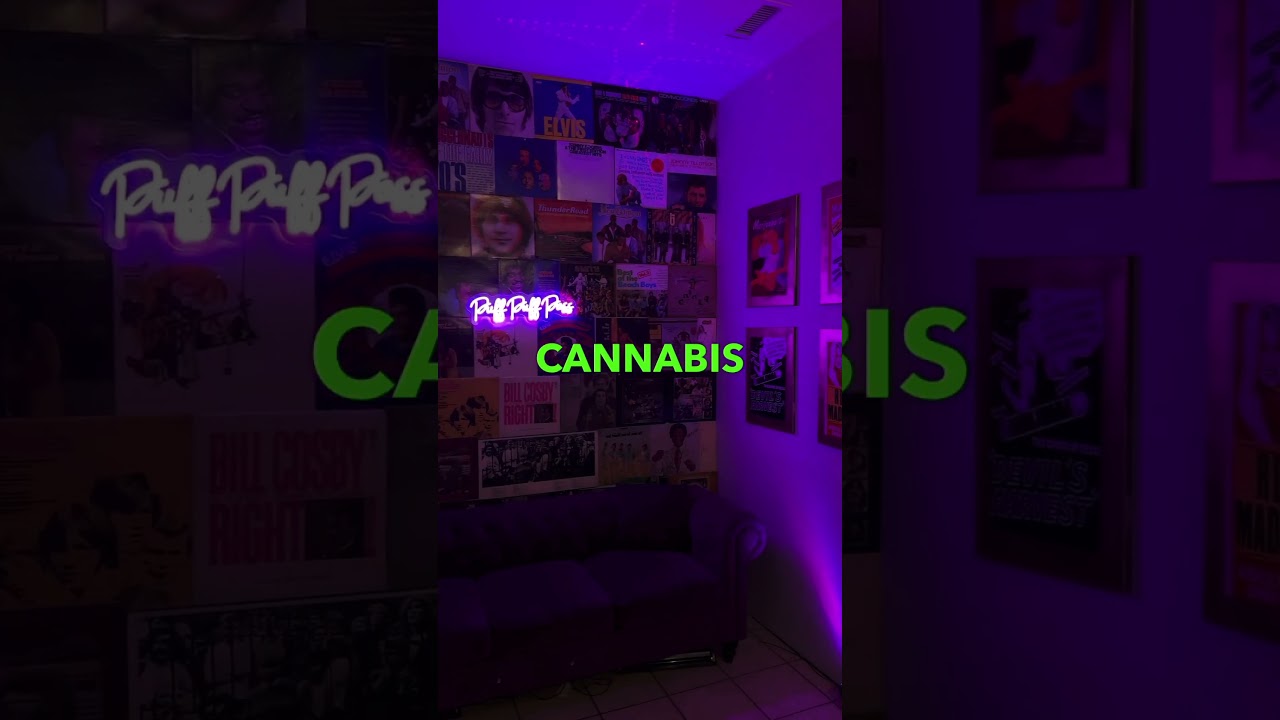 Cannabis consumption lounge in Illinois
