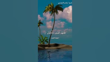 سورة الفيل بصوت الشيخ ياسر الدوسري❤️❤️