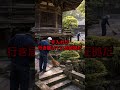 🌸日本と韓国の寺院の差を示す衝撃の光景に韓国人大嫉妬 #shorts #海外の反応 #日本賞賛