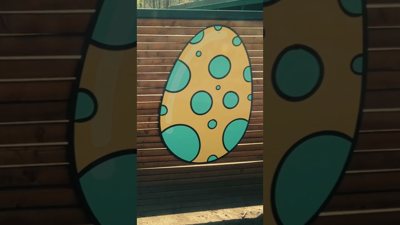 A Dream Within Stone Walls 🏰✨