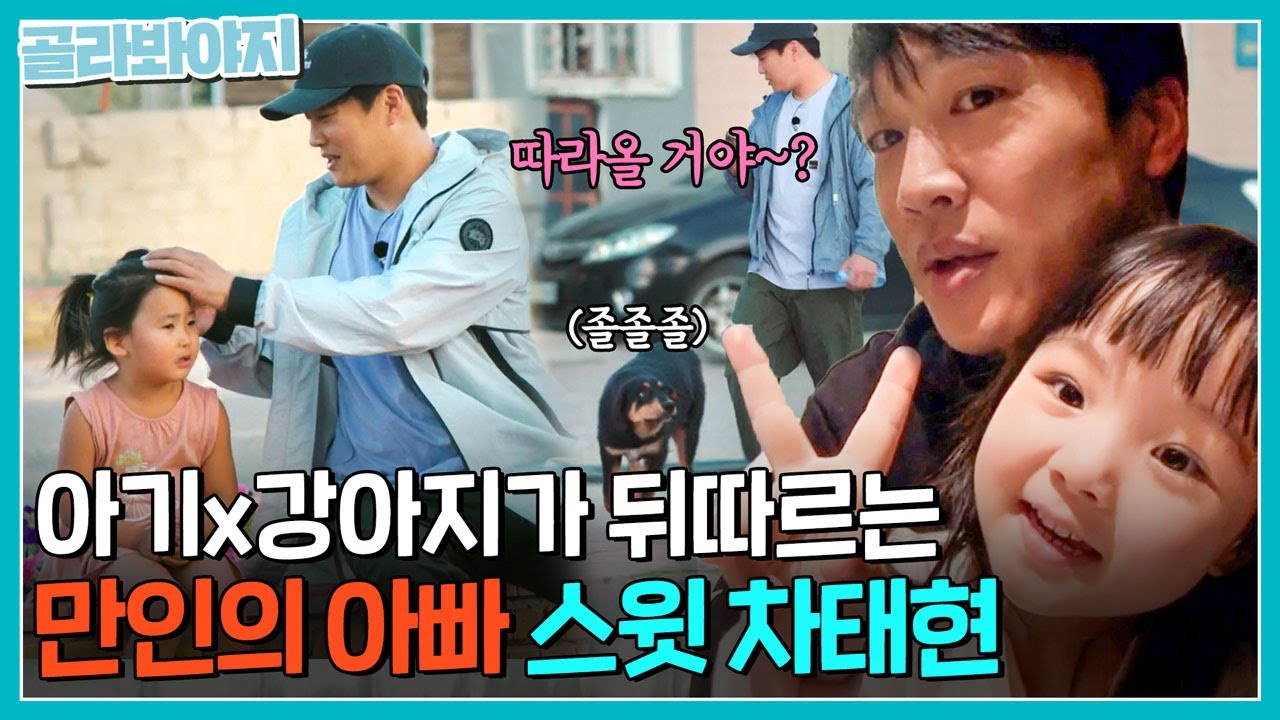엘리멘탈 웨이드=차태현 그 잡채💧겁도 많고 눈물도 많지만 세상 모든 아기들에게 간택 당하는 차태현 | 택배는 몽골몽골 | JTBC 231006 방송