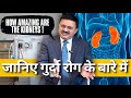 Kidney function  kidney diseases causes treatment  dr jamal a khan  health wealth and lifestyle