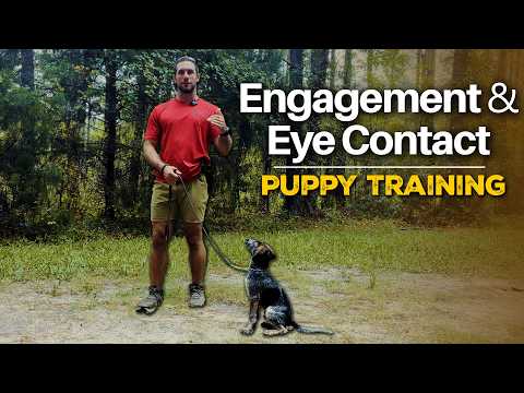 Puppy Eye Contact Training — Full Technique Breakdown
