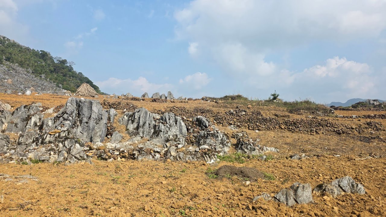 Lần thứ 2 chợ phiên Mèo Vạc.nhưng với em lần đầu tiên ạ chợ phiên đầu tiên của năm 2026 