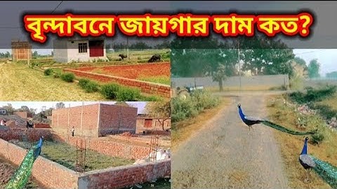 Vrindavan jaygar dam || 9748294840 || Vrindavan property price || plots in Vrindavan