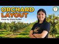 Orchard Layout Explained | Step-by-Step Guide for Fruit Crops | Horticulture Concepts