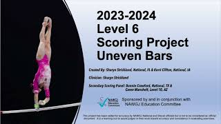 Level 6 Bars Rapid Review