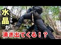 森の中で大量の水晶が湧き出てくるポイントを見つけました!