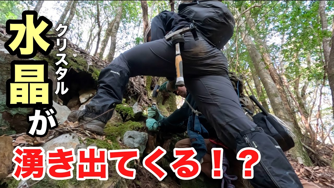 森の中で大量の水晶が湧き出てくるポイントを見つけました！