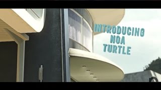 Introducing NoA Turtle By: Drps!