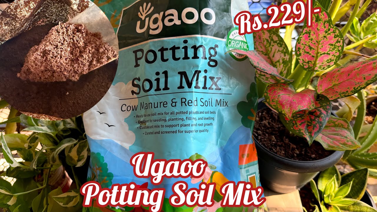 Ugaoo Organic Potting Soil Mix for Plants Home Garden | Ugaoo Soil Mix ...