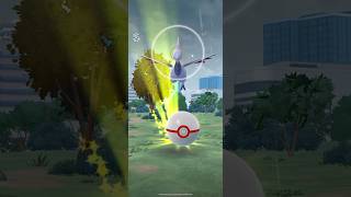 [Pokemon GO] Skarmory Solo Raid (2/2) #pokemongo #tiktokeffects #cacnea #skarmory #raid