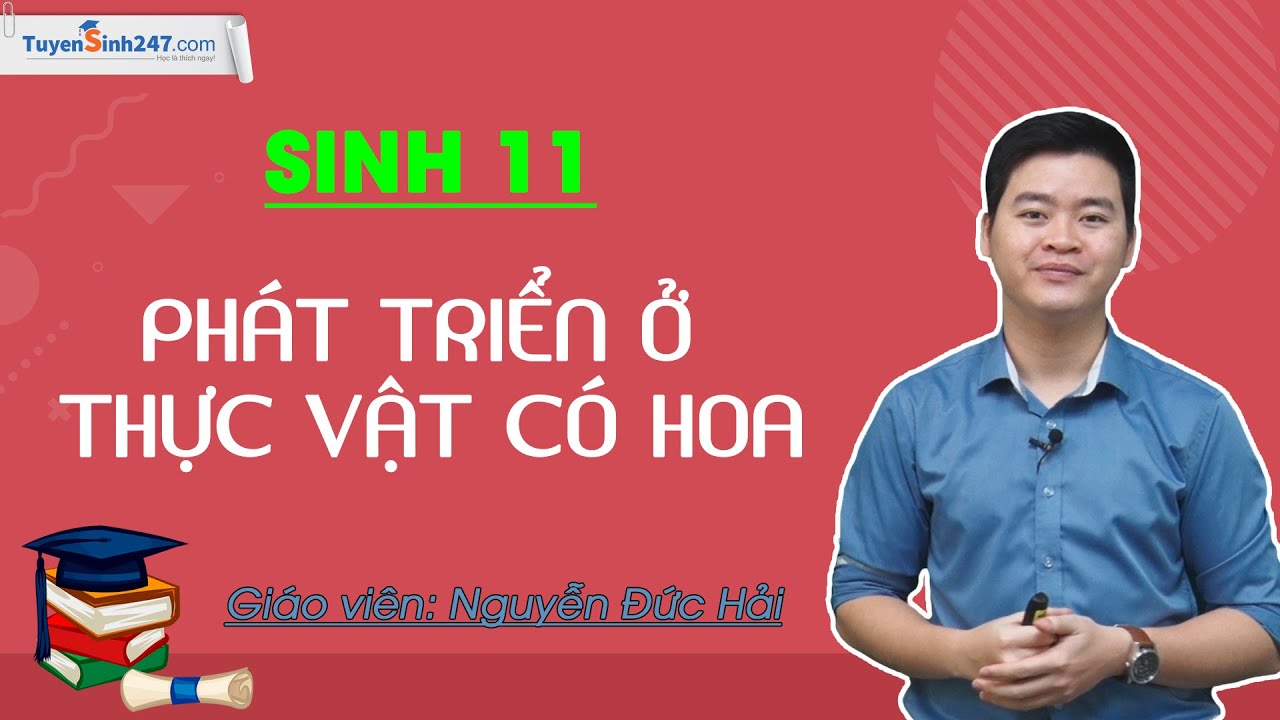 Phát triển ở thực vật có hoa – Sinh 11 – Thầy Nguyễn Đức Hải