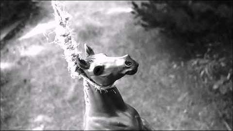 Eleven - Message to you