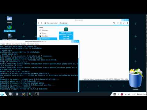 Video: Cum Se Instalează Skype Pe Linux