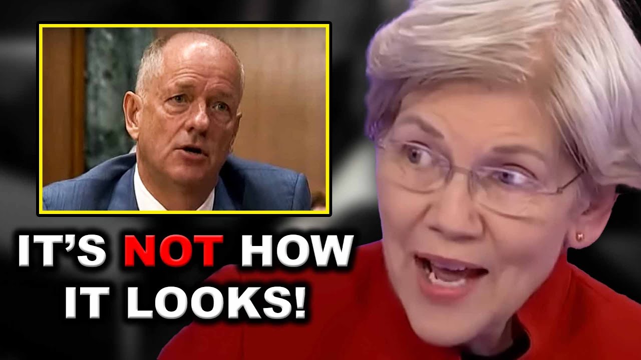 Elizabeth Warren LAUGHS AT Healthcare CEO In EXPLOSIVE Hearing