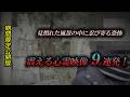 【期間限定公開版】見慣れた風景の中に忍び寄る恐怖 震える心霊映像9連発!