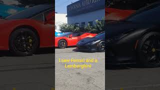 Lamborghini and a Ferrari the blue one is a Corvette