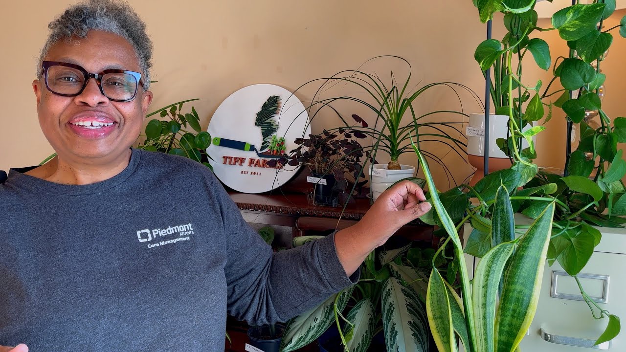 5 Health Benefits of Having Plants in Your Office Workplace YouTube