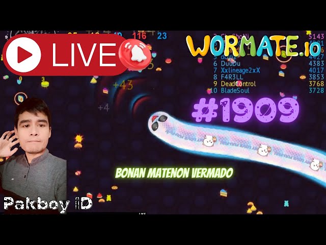 Pakboy ID | Wormate.io | bonan matenon vermado | #1909 class=