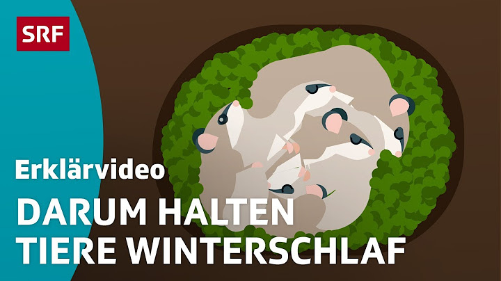 Welche Tiere machen Winterschlaf kindgerecht?