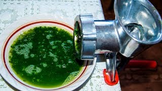 Эта Лечебная СМЕСЬ ПОДНИМЕТ Даже МЕРТВОГО!!! АЛОЭ, МЕД, КАГОР — И Это не сказки... Эта Лечебная СМЕСЬ ПОДНИМЕТ Даже МЕРТВОГО!!! АЛОЭ, МЕД, КАГОР — И Это не сказки...