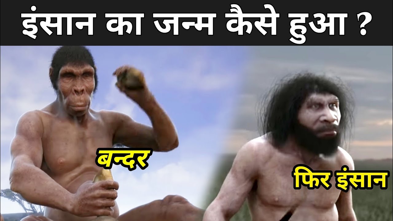 इंसान का धरती पर जन्म कैसे हुआ था ? | Evolution Of Human In Hindi ...