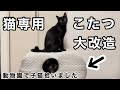 【保護猫】猫専用こたつをカスタムしてみました